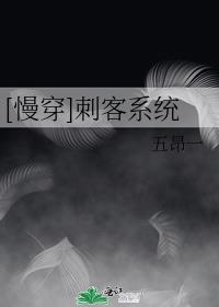 慢穿刺客系统明光TXT百度云