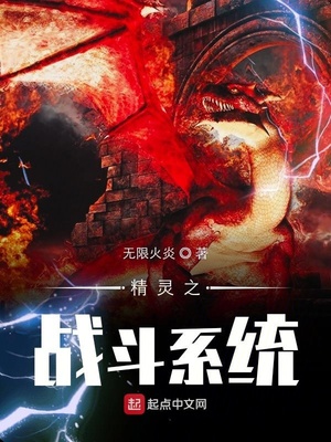 精灵之战斗系统 无限火炎,听小说