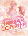 卡牌：我的纸片人新娘养成计划