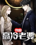 我的高冷老婆