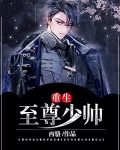 重生至尊少帅
