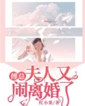 傅总，夫人又闹离婚了