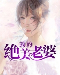 我的绝美老婆