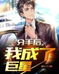 分手后,我成了巨星