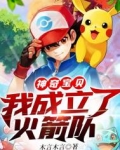 宝可梦:我成立了火箭队