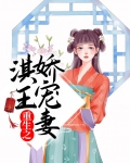 重生之淇王娇宠妻