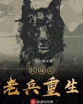 抗战之老兵重生