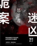 惩罪者：诡案迷凶