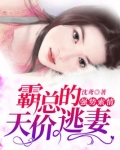 强势索情：霸总的天价逃妻
