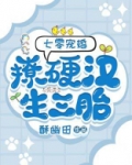 七零宠婚:撩硬汉!生三胎