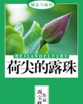 荷尖的露珠