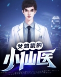 女总裁的小仙医
