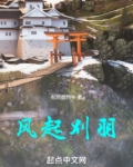 风起刈羽