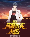 火影：恶魔果实系统