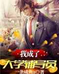 我成了大学辅导员