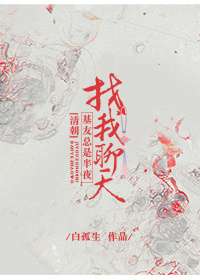 清朝基友总是半夜找我聊天 小说