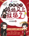 启禀陛下,娘娘又上战场了!