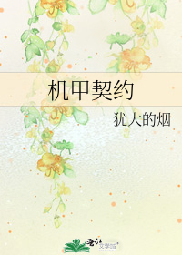 机甲契约