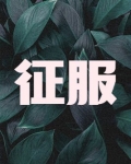 征服