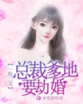 一胎二宝：总裁爹地要劫婚