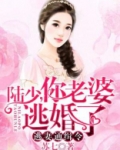陆先生，你命里缺我