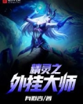 精灵之外挂大师