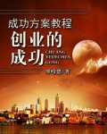 大智慧成功方案教程--创业的成功