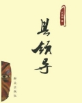 县领导
