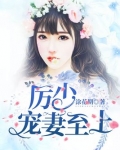 厉少宠妻至上