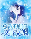 总裁的前任又野又飒