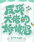 快穿小祖宗：反派大佬的娇娇宠