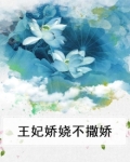 王妃娇娆不撒娇