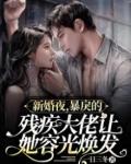 新婚夜，暴戾的残疾大佬让她容光焕发
