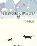 我真没想和大佬协议结婚