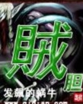 贼胆