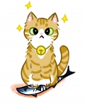 猫猫我啊，养两脚兽捏