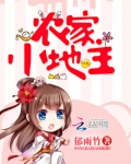 农家小地主