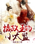 摄政王的小太监