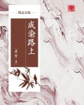 成渝路上（精品公版）