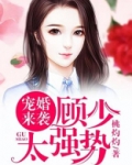 宠婚来袭：顾少，太强势！