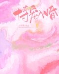 恃宠入婚