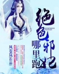夜帝盛宠：绝色邪妃哪里跑