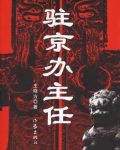 驻京办主任(一)
