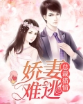 总裁猎情，娇妻难逃
