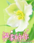 温柔的你