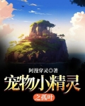 宠物小精灵之孤叶