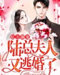 亿万溺宠:陆总,夫人又逃婚了