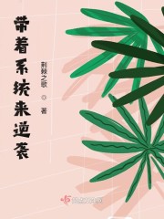 带着系统来逆袭 成神之路