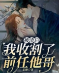 被渣后，我收割了前任他哥（短剧错撩原著，简欢、娄枭主演）