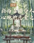 我与老婆令人心梗的恋爱之旅小说